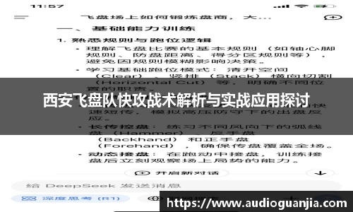 西安飞盘队快攻战术解析与实战应用探讨