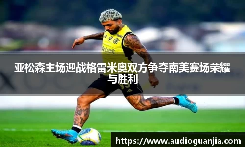南宫ng28